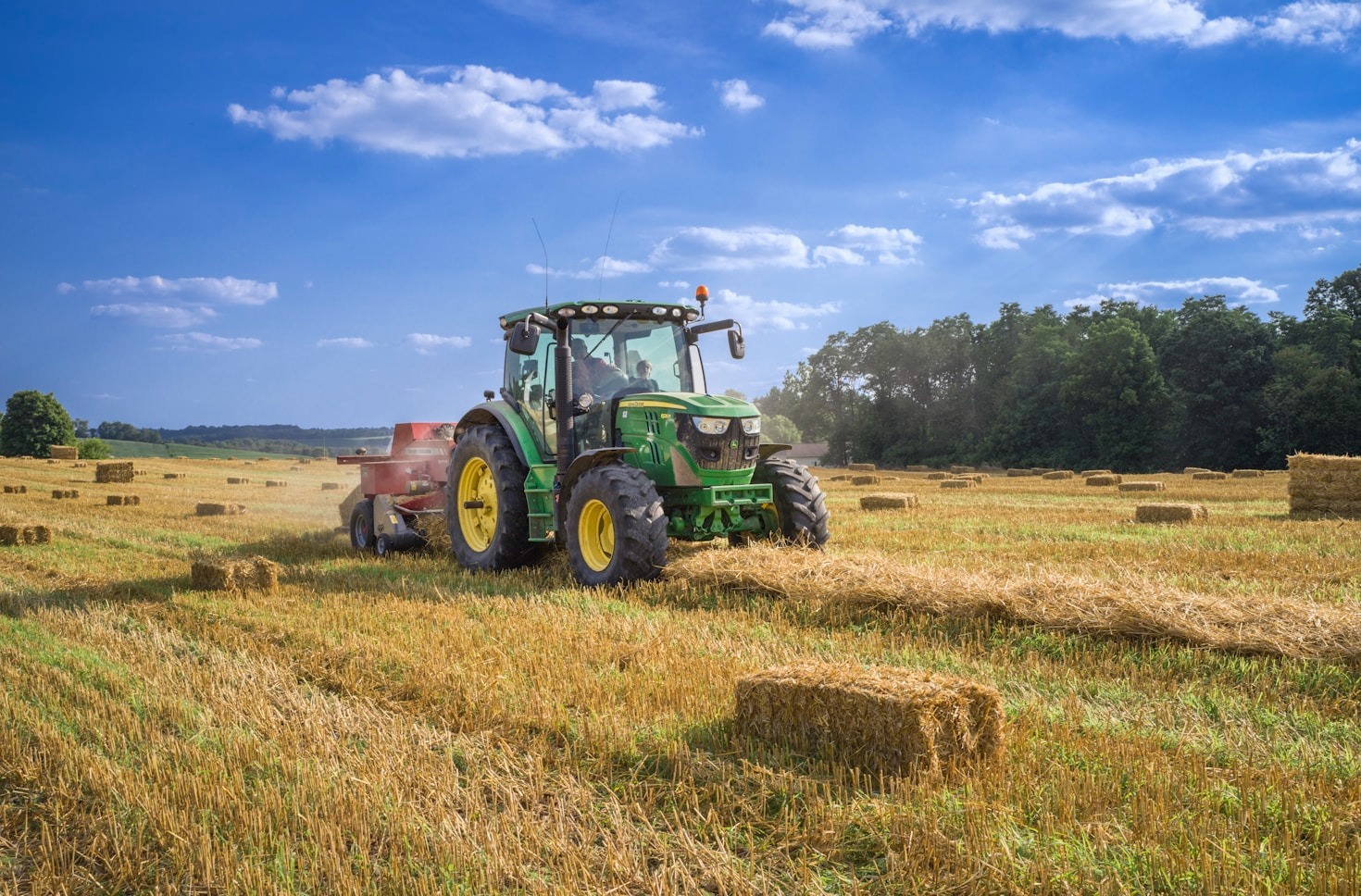 Life Lessons Learned On The Farm